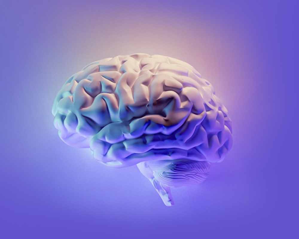 blekit-metylenowy-blue-zone-dawkowanie-brain blekit-metylenowy-blue-zone-dawkowanie-brain